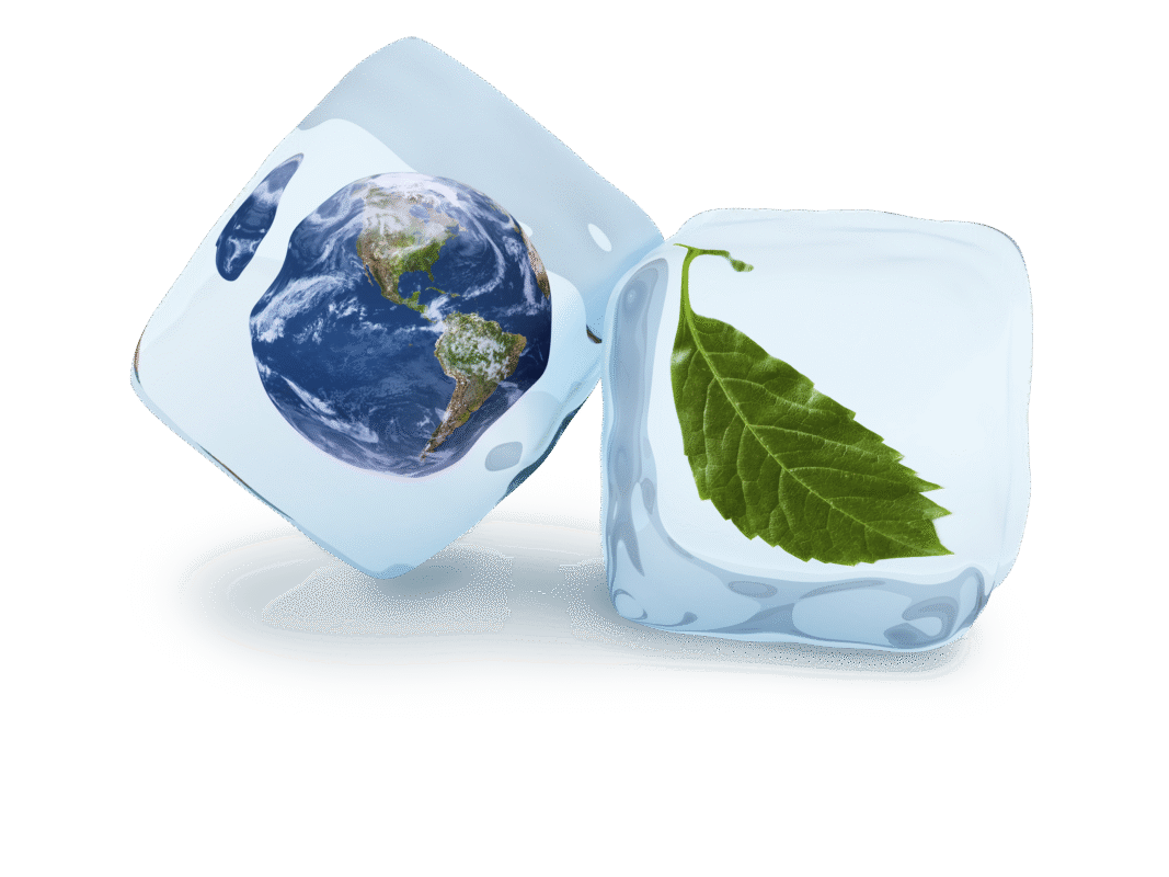 An-Earth-and-a-leaf-in-ice-cubes-sustainable-logo